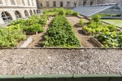 [SIPLAST - Un potager planté sur un toit-terrasse au cœur de Paris pour trois ans d’expérimentation]