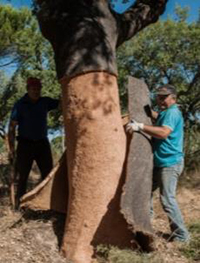 webertherm XM natura, une matière première 100% naturelle et renouvelable