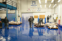 FLOWFRESH (Revêtement de sol en Polyuréthane Ciment) / AGROALIMENTAIRE TOUTES ZONES