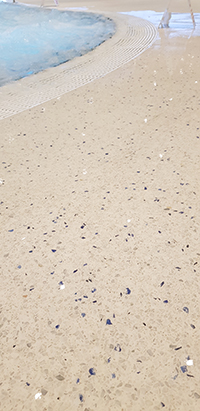 Mondéco Rapide – Plages de piscines